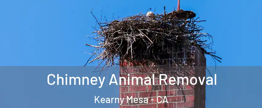 Chimney Animal Removal Kearny Mesa - CA