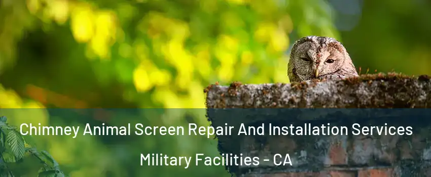 Chimney Animal Screen Repair And Installation Services Military Facilities - CA