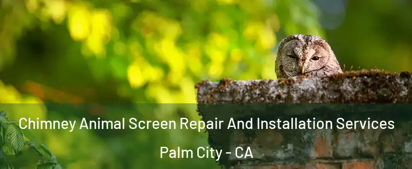 Chimney Animal Screen Repair And Installation Services Palm City - CA