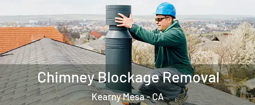Chimney Blockage Removal Kearny Mesa - CA