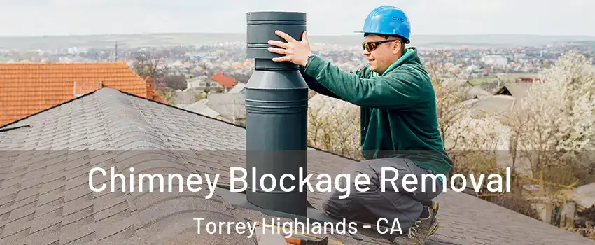Chimney Blockage Removal Torrey Highlands - CA