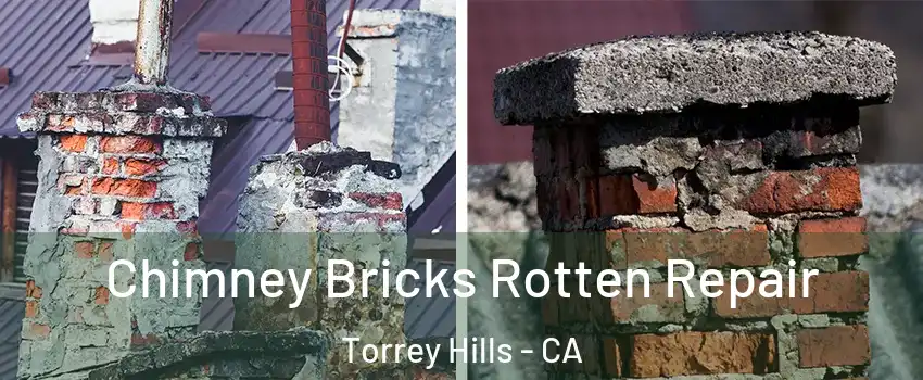 Chimney Bricks Rotten Repair Torrey Hills - CA