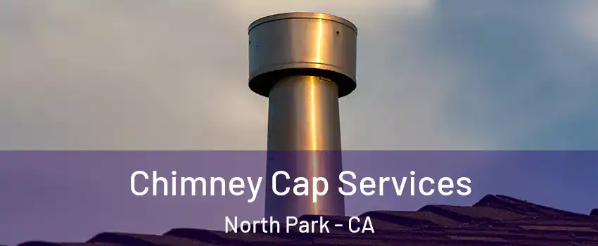 Chimney Cap Services North Park - CA