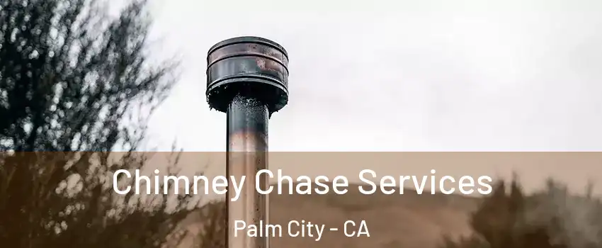 Chimney Chase Services Palm City - CA