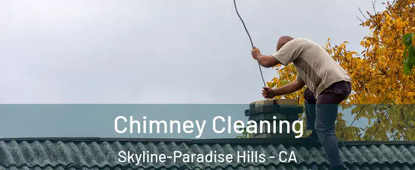 Chimney Cleaning Skyline-Paradise Hills - CA