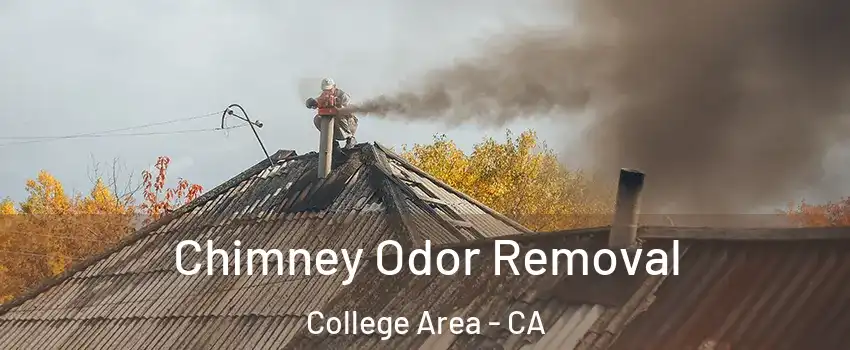 Chimney Odor Removal College Area - CA