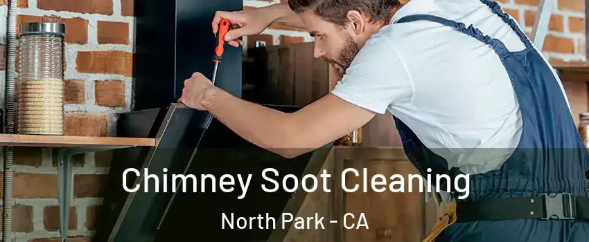 Chimney Soot Cleaning North Park - CA