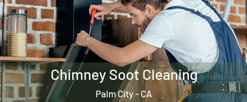 Chimney Soot Cleaning Palm City - CA