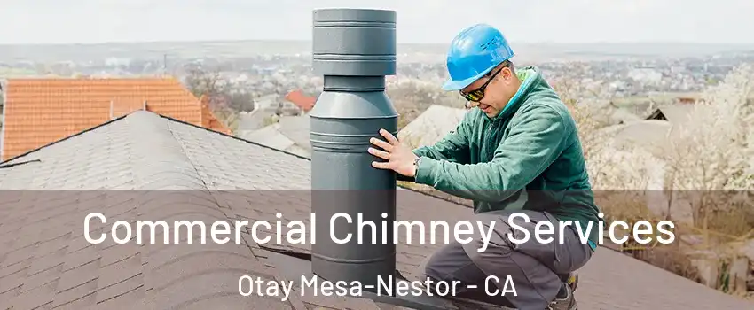 Commercial Chimney Services Otay Mesa-Nestor - CA