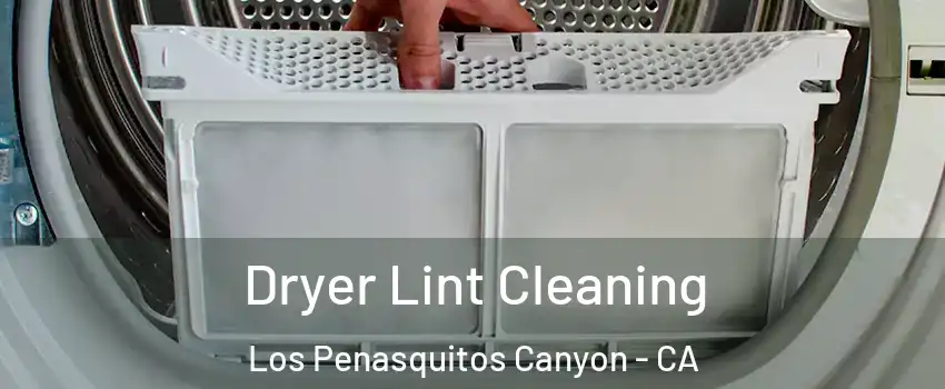 Dryer Lint Cleaning Los Penasquitos Canyon - CA