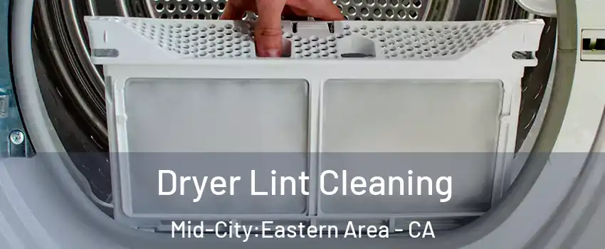 Dryer Lint Cleaning Mid-City:Eastern Area - CA