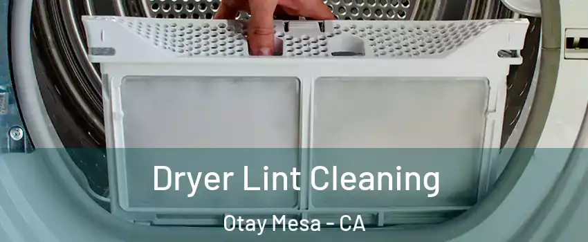 Dryer Lint Cleaning Otay Mesa - CA