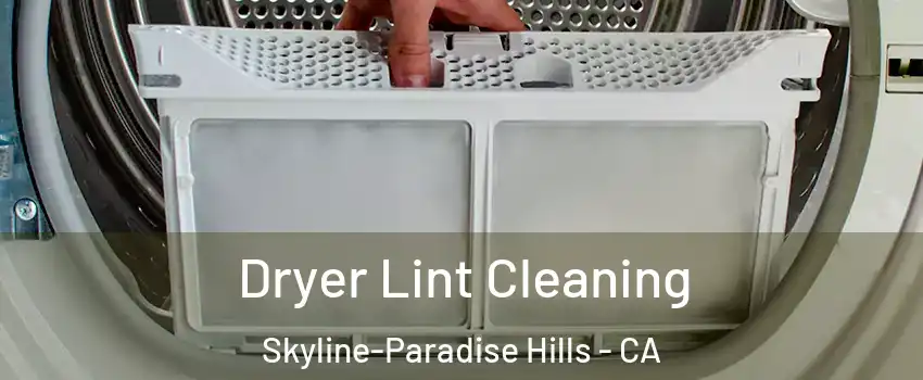 Dryer Lint Cleaning Skyline-Paradise Hills - CA