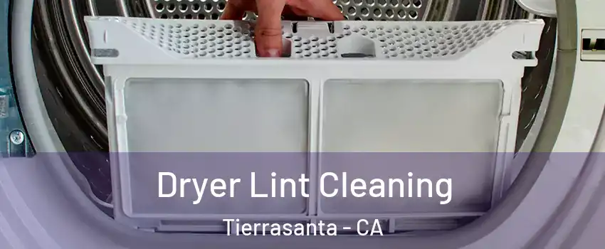 Dryer Lint Cleaning Tierrasanta - CA