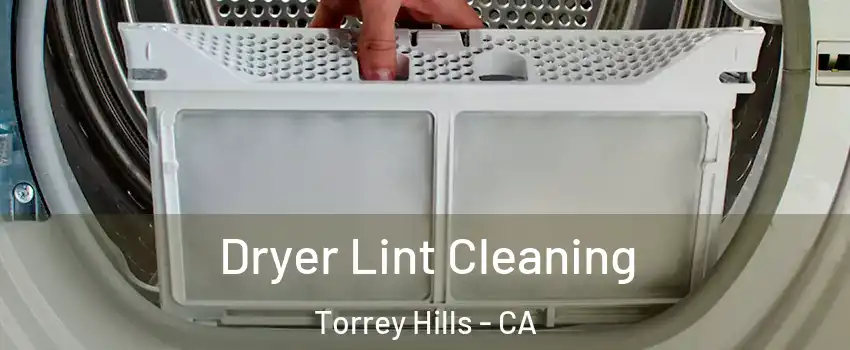 Dryer Lint Cleaning Torrey Hills - CA