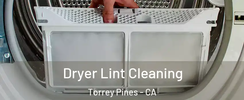 Dryer Lint Cleaning Torrey Pines - CA