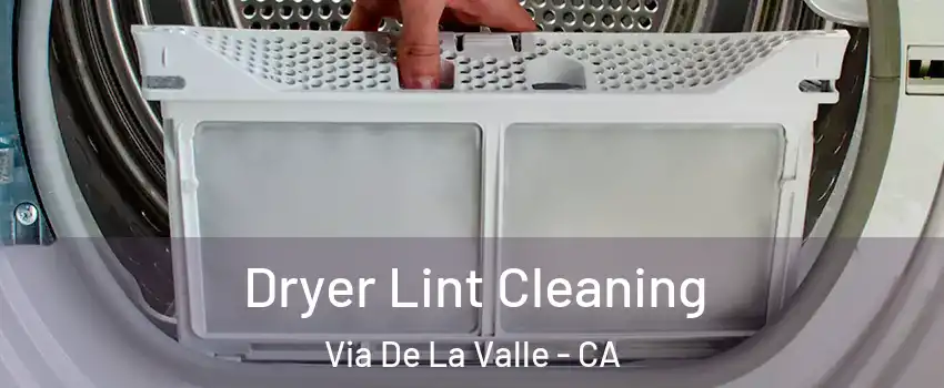 Dryer Lint Cleaning Via De La Valle - CA