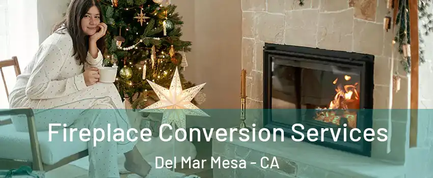 Fireplace Conversion Services Del Mar Mesa - CA