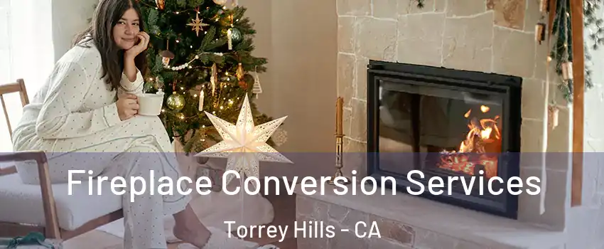 Fireplace Conversion Services Torrey Hills - CA