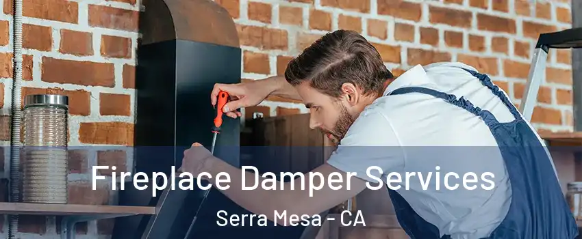 Fireplace Damper Services Serra Mesa - CA
