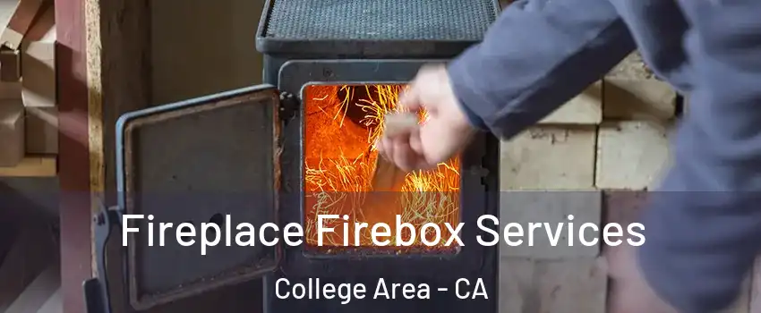 Fireplace Firebox Services College Area - CA