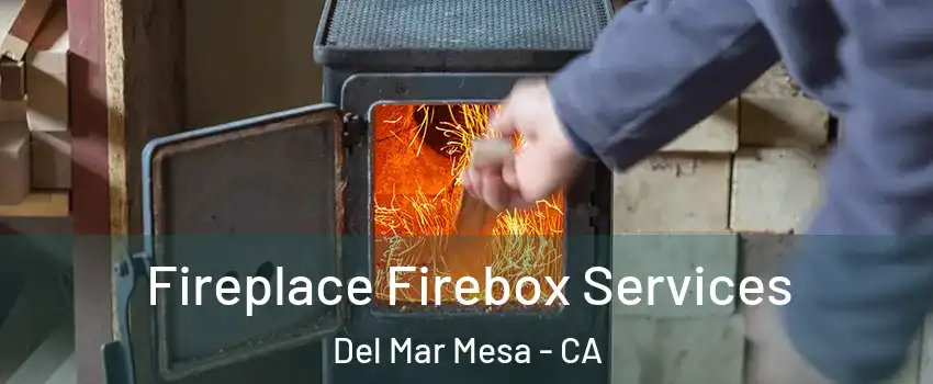 Fireplace Firebox Services Del Mar Mesa - CA