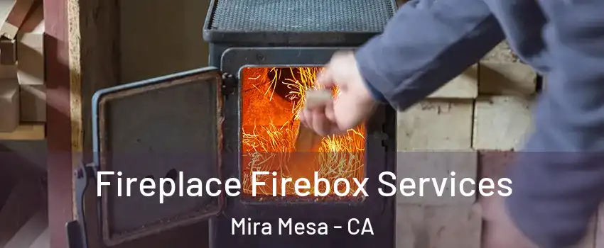 Fireplace Firebox Services Mira Mesa - CA