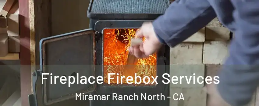 Fireplace Firebox Services Miramar Ranch North - CA