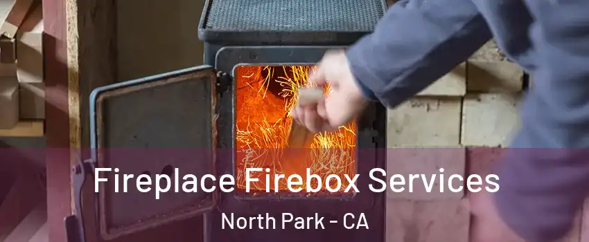 Fireplace Firebox Services North Park - CA
