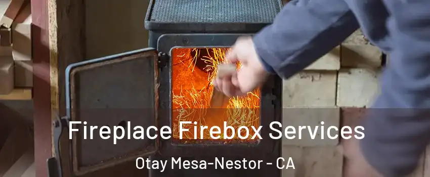 Fireplace Firebox Services Otay Mesa-Nestor - CA