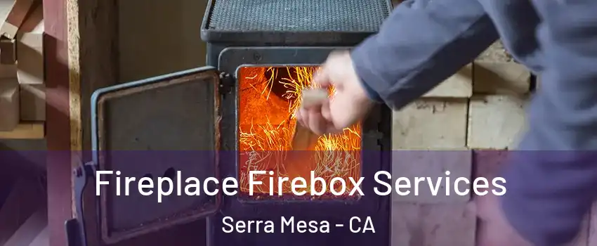 Fireplace Firebox Services Serra Mesa - CA