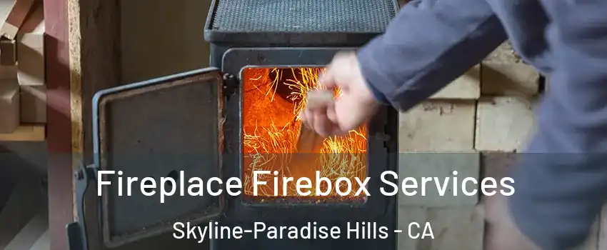 Fireplace Firebox Services Skyline-Paradise Hills - CA