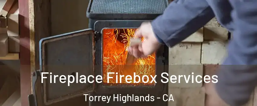 Fireplace Firebox Services Torrey Highlands - CA