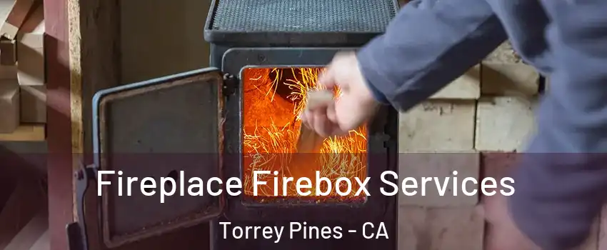 Fireplace Firebox Services Torrey Pines - CA