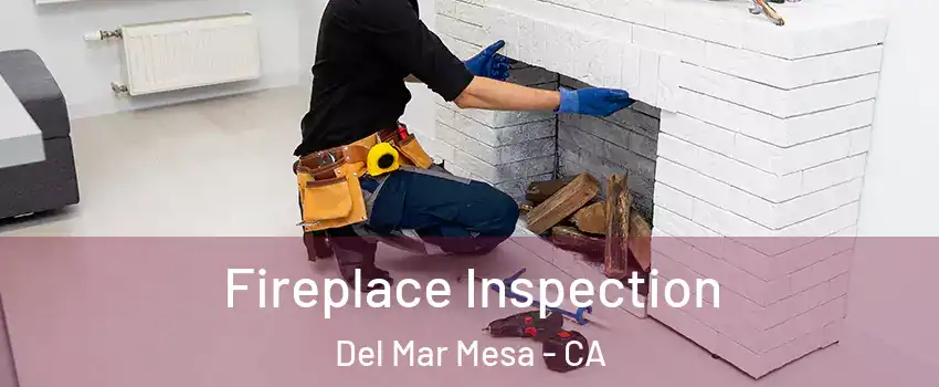 Fireplace Inspection Del Mar Mesa - CA