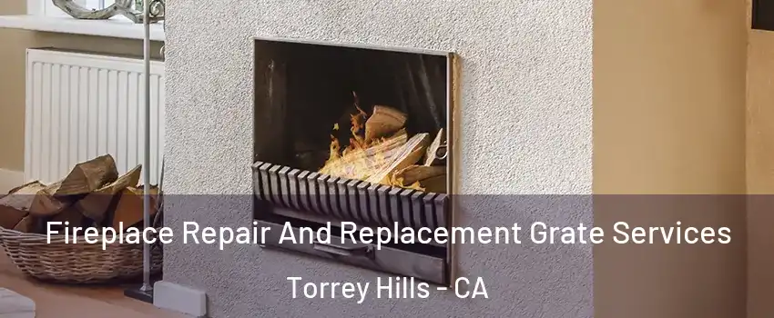 Fireplace Repair And Replacement Grate Services Torrey Hills - CA