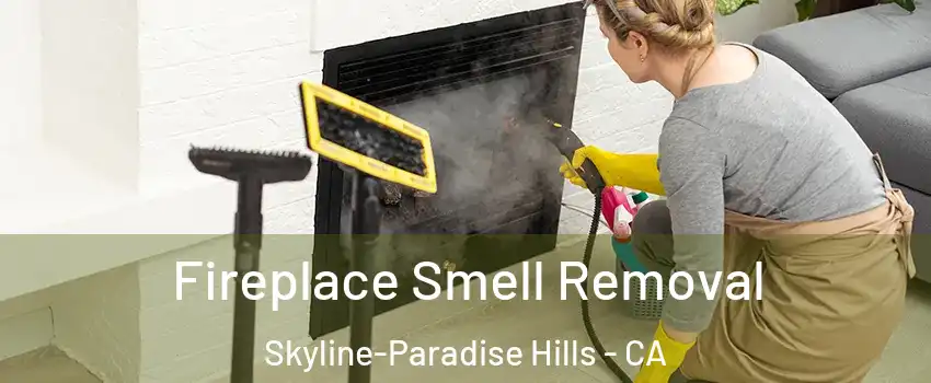 Fireplace Smell Removal Skyline-Paradise Hills - CA