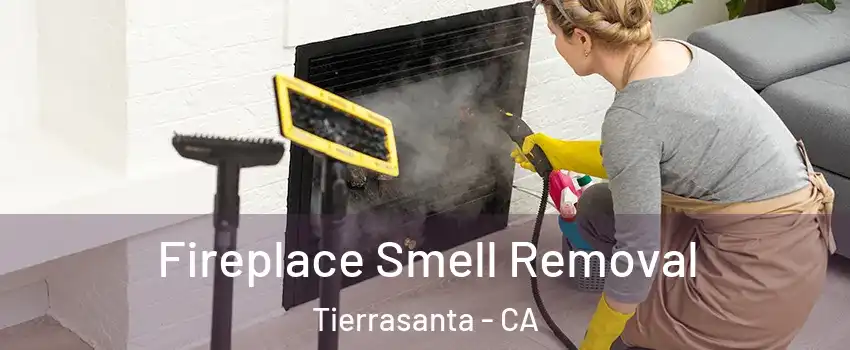 Fireplace Smell Removal Tierrasanta - CA
