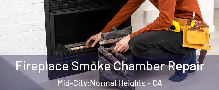Fireplace Smoke Chamber Repair Mid-City:Normal Heights - CA