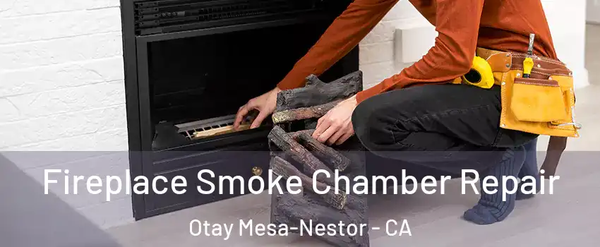 Fireplace Smoke Chamber Repair Otay Mesa-Nestor - CA