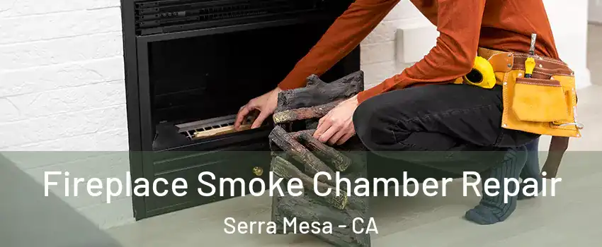 Fireplace Smoke Chamber Repair Serra Mesa - CA