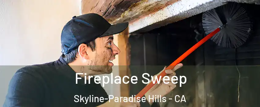 Fireplace Sweep Skyline-Paradise Hills - CA