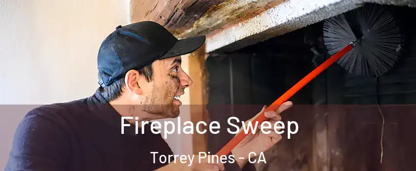 Fireplace Sweep Torrey Pines - CA