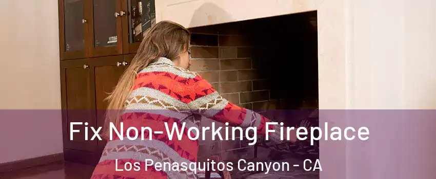 Fix Non-Working Fireplace Los Penasquitos Canyon - CA