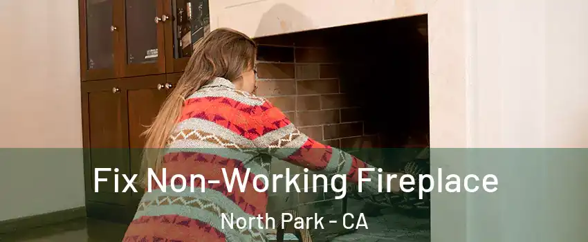 Fix Non-Working Fireplace North Park - CA