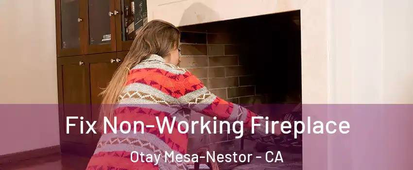 Fix Non-Working Fireplace Otay Mesa-Nestor - CA