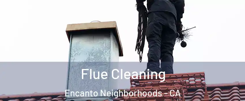 Flue Cleaning Encanto Neighborhoods - CA