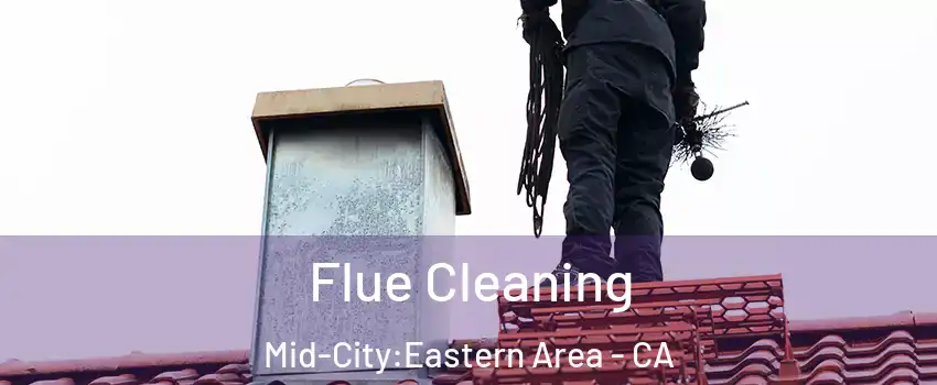 Flue Cleaning Mid-City:Eastern Area - CA