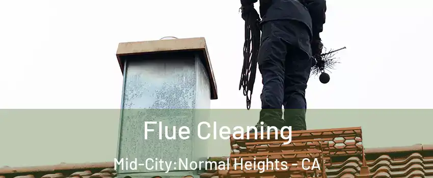 Flue Cleaning Mid-City:Normal Heights - CA
