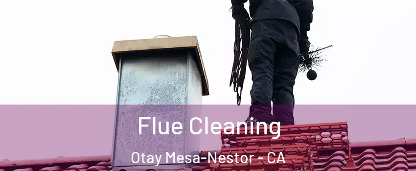 Flue Cleaning Otay Mesa-Nestor - CA